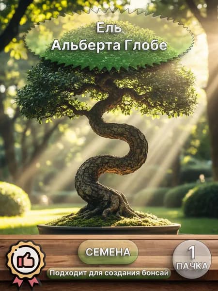 Ель Альберта Глобе, семена 10 шт (бонсай)