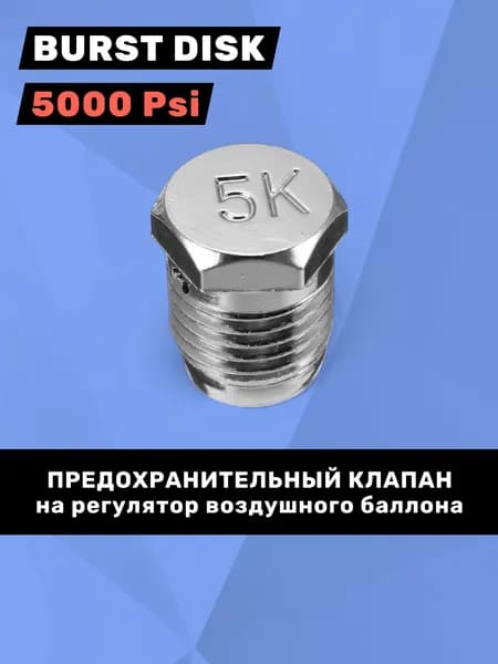 Предохранительный клапан Burst Disk 5К (5000 psi)