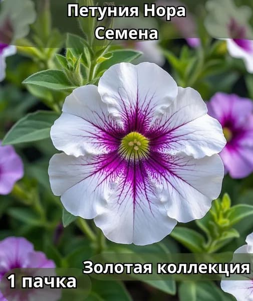 Петуния Нора, семена 10 шт
