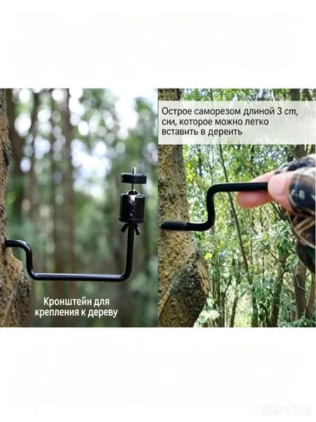 Фотоловушка