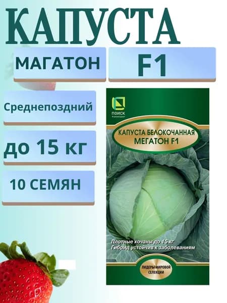 Капуста белокочанная Мегатон F1