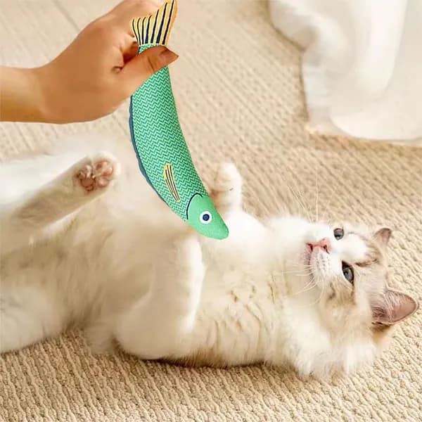 Жевательная игрушка для кошек, игрушки прорезывания зубов котят