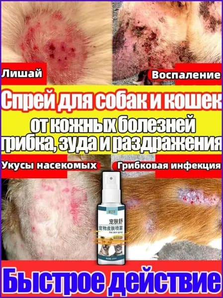 Спрей для лечения кожных заболеваний у кошек и собак, 100ml