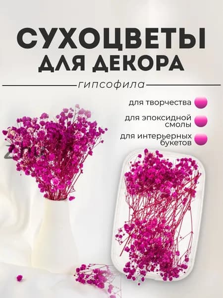 Сухоцветы Гипсофила 1 шт темно-розовый