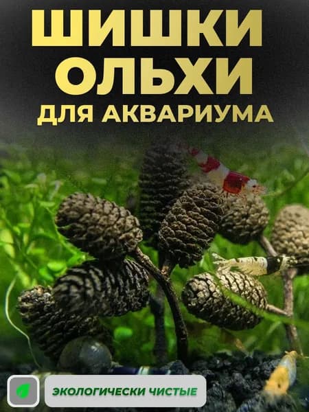 Шишки ольхи для аквариума ольховые соплодия средство для создания мягкой темной воды в аквариуме нормализатор ph.