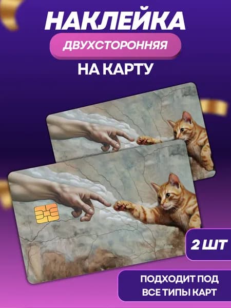 Наклейка на банковскую карту Кот микеланджело