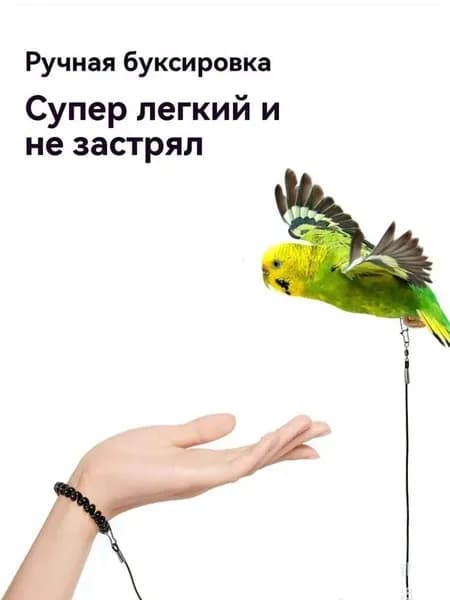 Аксессуары для выгула птиц: ошейники, специально разработанные для попугаев и других птиц, в комплекте с поводком и ремешком на запястье. Размер кольца для ноги 5. Черный, длина 2 метра. 1 шт.