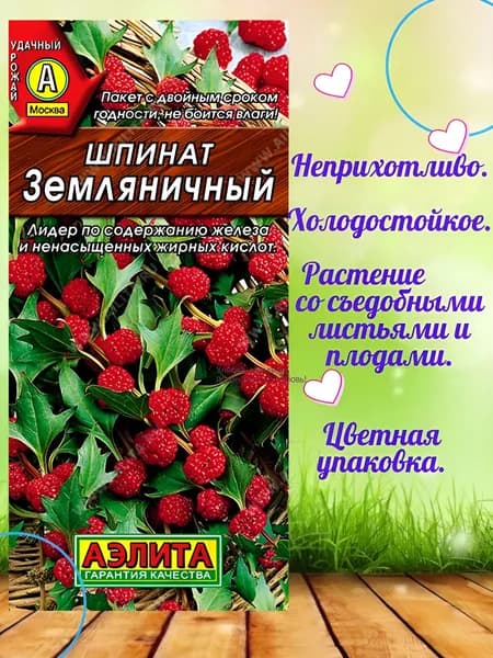 Аэлита Семена ,1шт
