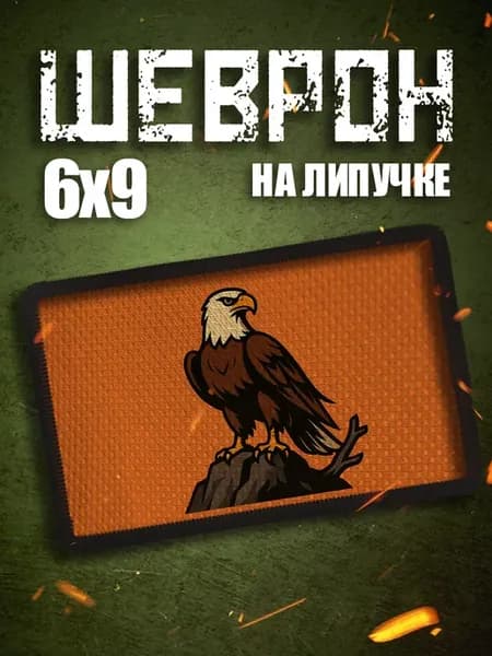 Шеврон на липучке на одежду Гордый орёл