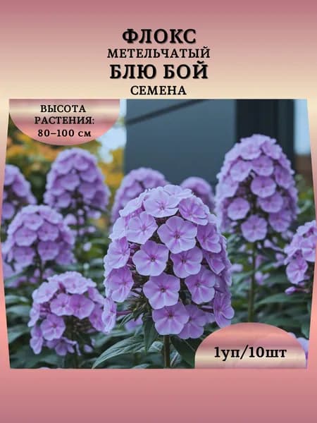Флокс метельчатый "Блю Бой" семена, 1 пачка