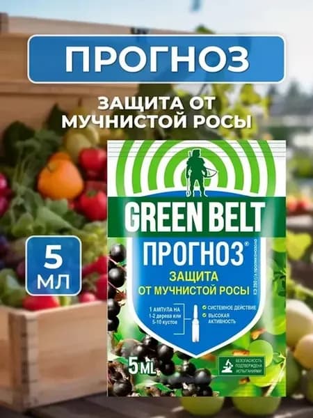 Средство от болезней растений Прогноз Green Belt, фунгицид