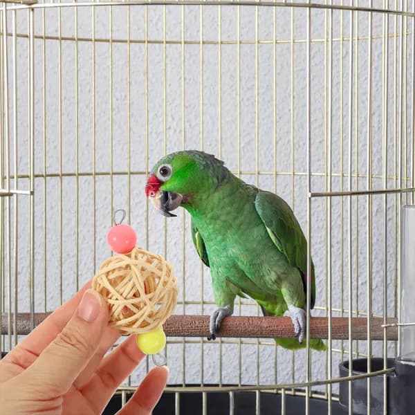 Деревянная игрушка для попугая, подвесной плетёный мяч из ротанга, 2 шт, для птиц