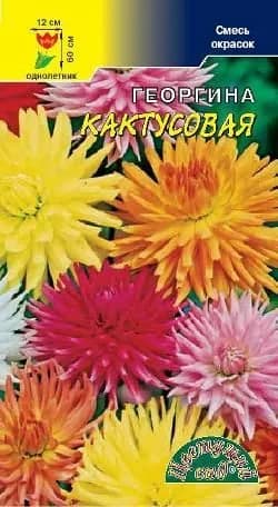 Георгина махровая Кактусовидная (семена Цветущий сад)