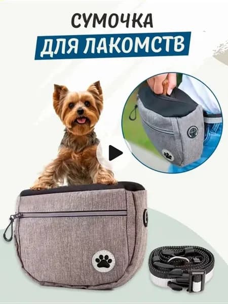 Поясная влагозащитная сумка для лакомств и корма 3в1