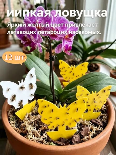 Инструмент для дезинсекции 12 шт.