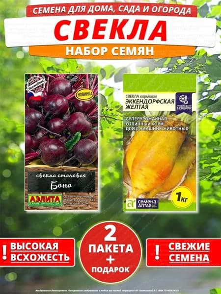 Семена свекла для дома сада посадки