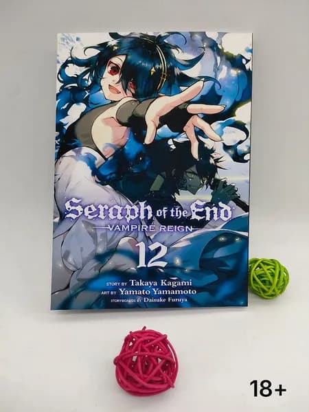 Последний Серафим. 12 том