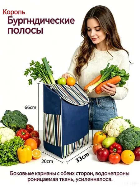 Сумка тележка