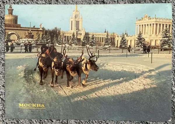 Открытка СССР Москва - Катание на оленях 1982 год #4