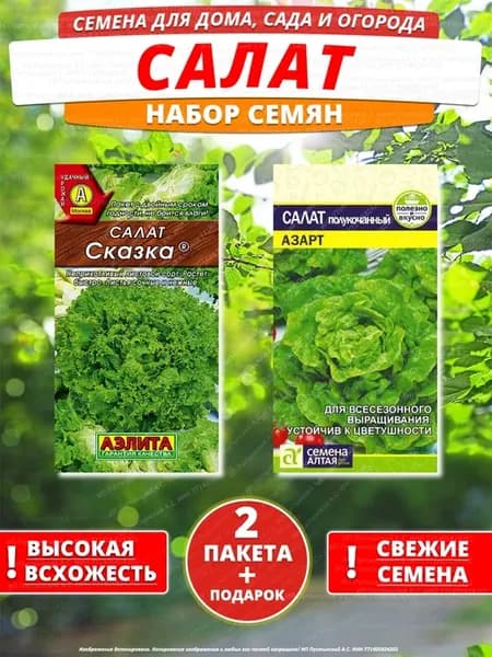 Семена салат для дома сада посадки