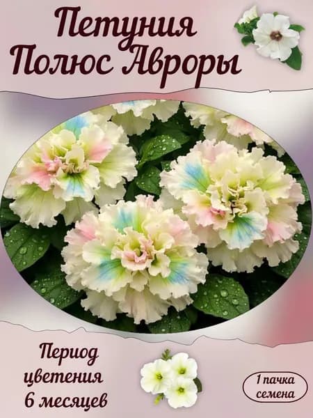 Петуния Полюс Авроры, семена, 10 шт.