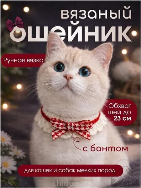 Ошейник