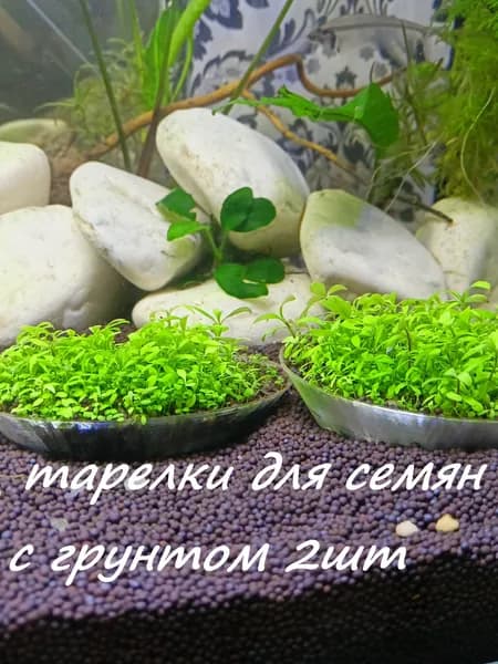 2ШТ Тарелочки для аквариума с грунтом