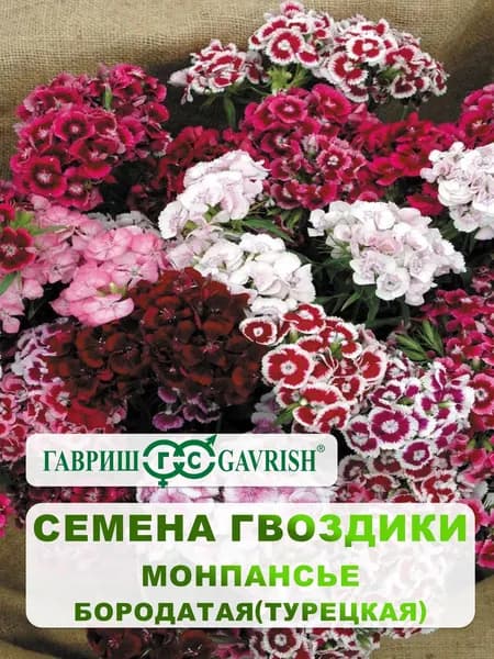 Семена Гвоздики бородатая "Монпансье" смесь турецкая 0,1 гр.