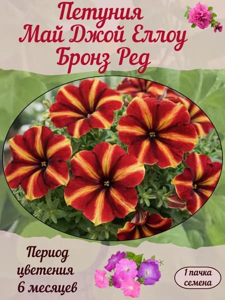 Петуния Май Джой Еллоу Бронз Ред, семена, 10 шт.