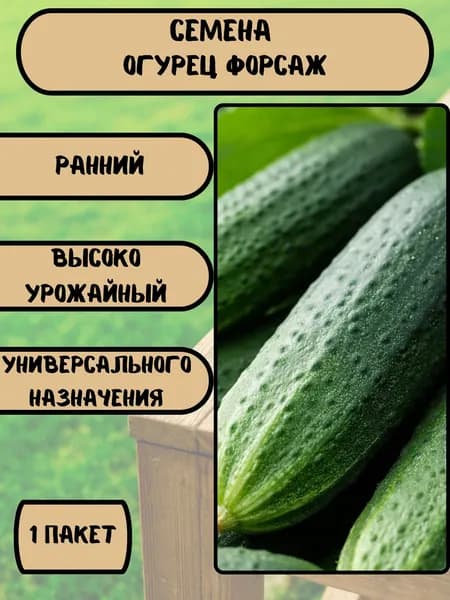Огурец Форсаж, семена 10 шт