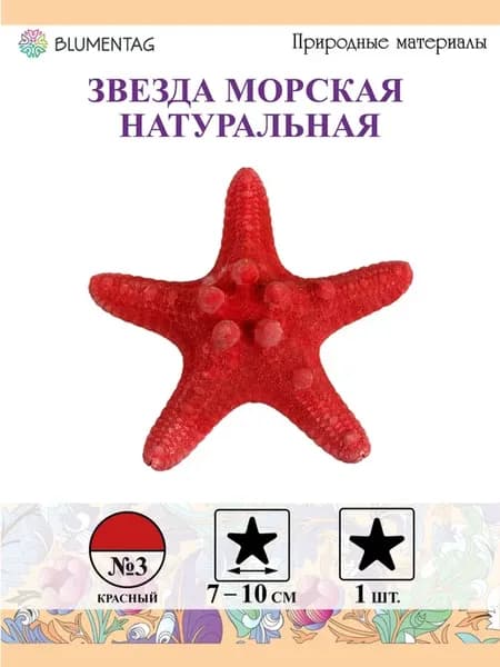 Звезда морская 10 см, 1 шт