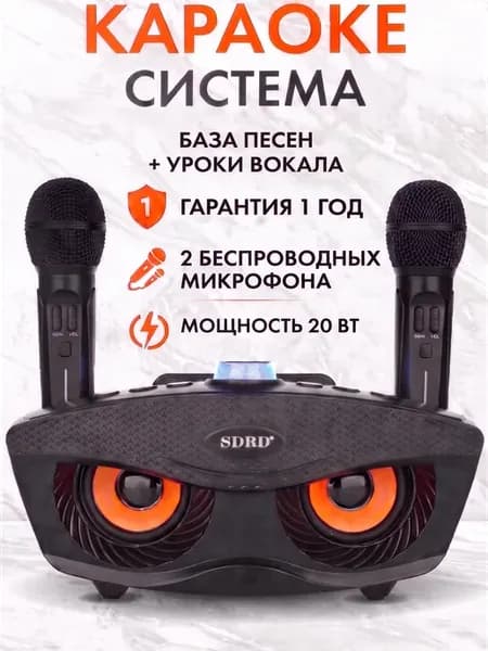 Караоке система с беспроводными микрофонами