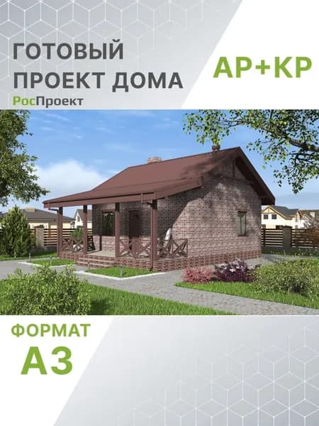 Проект RPg3600 - Одноэтажный дом с террасой, печкой и отделкой кирпичом. (44 м2, 10м x8м)