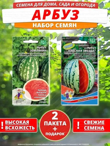 Семена арбуз для дома сада посадки