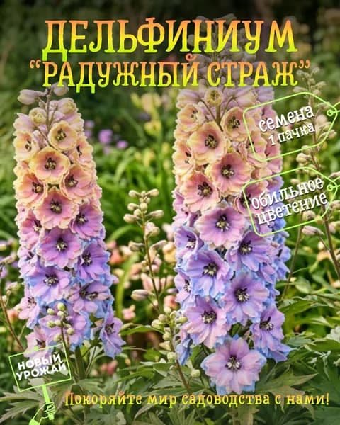 Дельфиниум Радужный страж, семена, 10 шт.