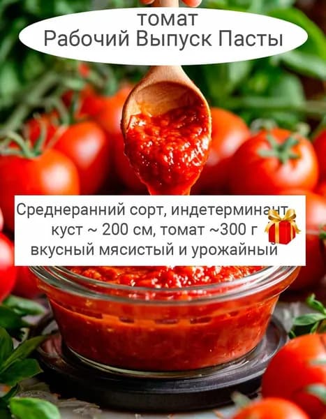 Семена томата "Рабочий Выпуск Пасты", коллекционный сорт