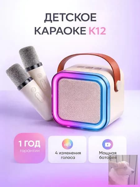 Детская караоке система с двумя беспроводными микрофонами и колонкой.ljw
