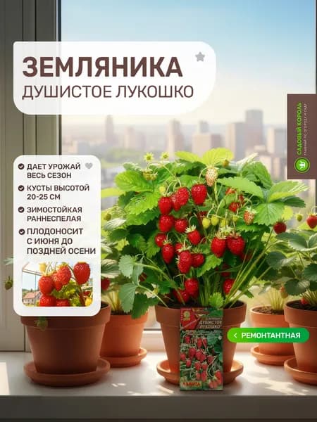 Семена Земляники, Земляника ремонтантная "Душистое лукошко" семена для сада и балкона Агрофирма Аэлита