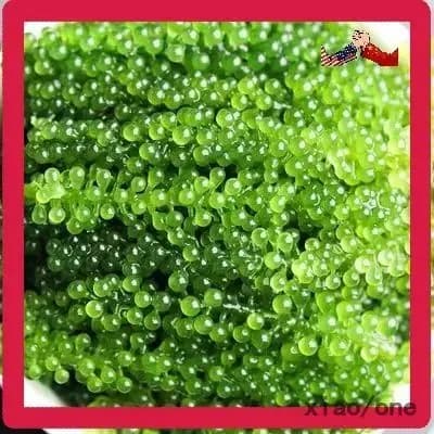 Морская соль xiaojianshangmao