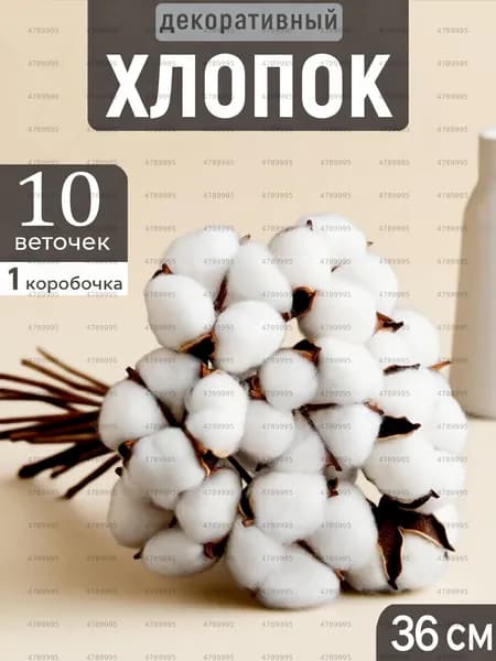 Сухоцветы Хлопок 36 см 10 шт белый