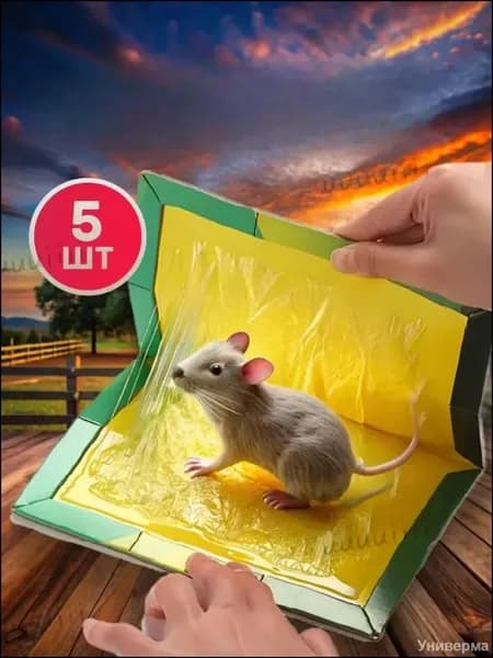 Мышеловки для мышей клеевые, комплект 5 штук