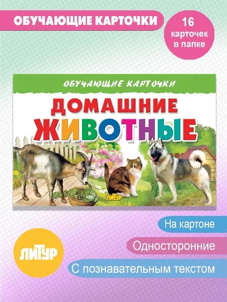 Домашние животные. Обучающие карточки