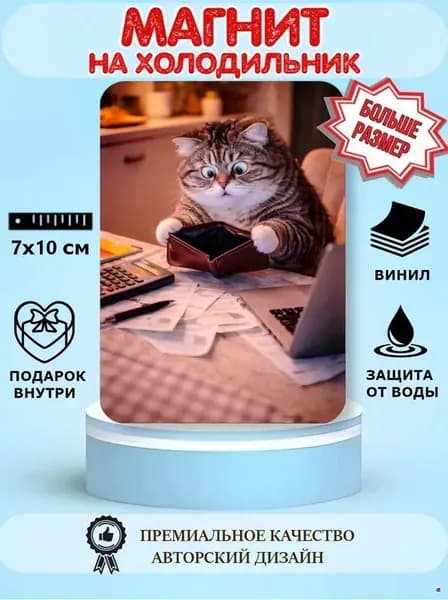Магнит на холодильник, Кот прикол