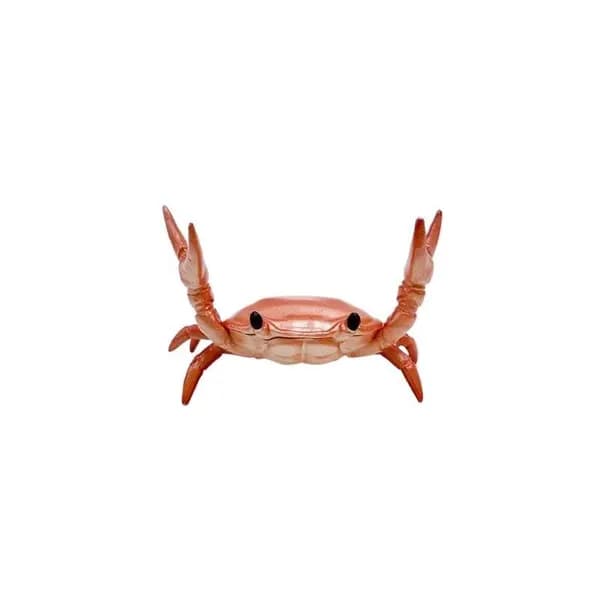 Подставка для ручек в форме краба, 5 см x 4 см x 3,5 см.