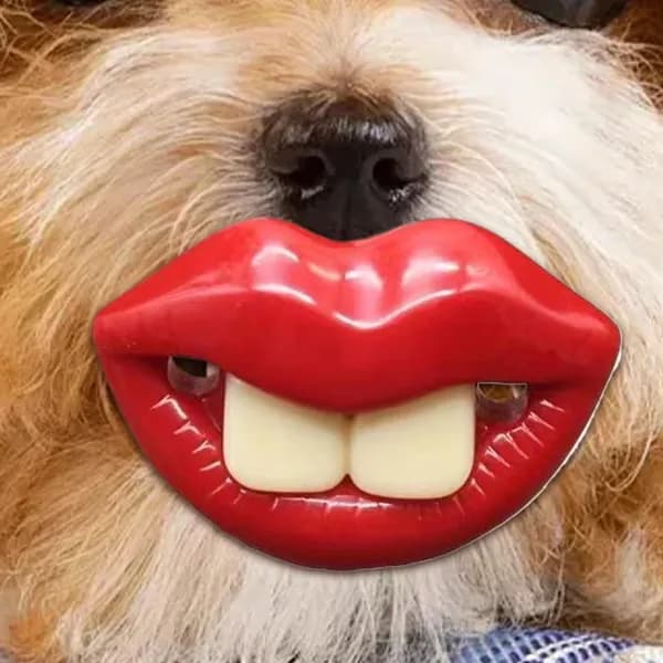Щенячья Соска для Маленьких Собак Игрушки для домашних животных