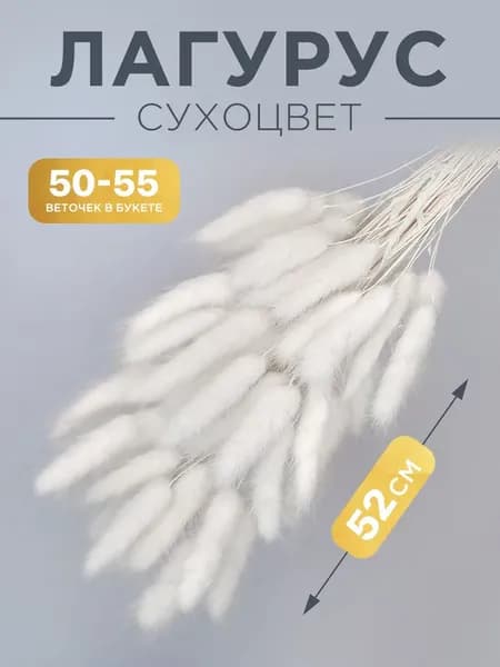 Сухоцветы Лагурус 55 см 55 шт кремовый