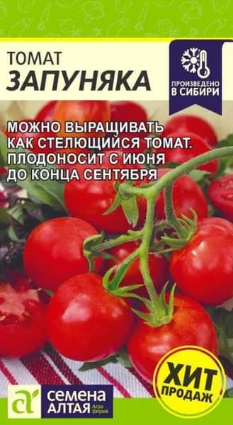 Томат Запуняка раннеспелый, стелющийся (Помидор) /Семена Алтая/ 0,05 гр. Не требует формирования!
