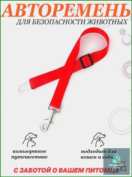 Ремень безопасности для собак