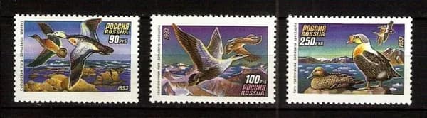 Россия, 1993. (0101-03) Утки,