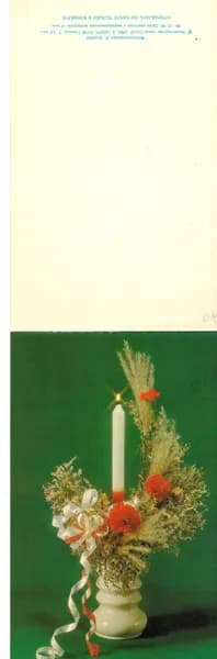 Почтовая открытка. "Новогодняя Фотокомпозиция" Агладзе 1990 г.